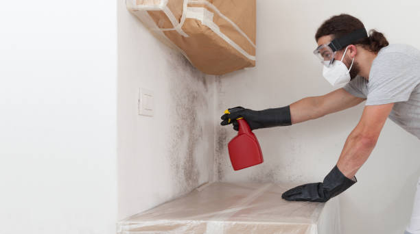 Professional Mold Remediation technician working in White Island Shores, MA